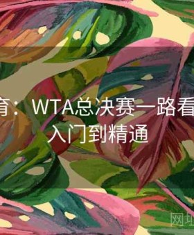 开元体育：WTA总决赛一路看一路赢·入门到精通