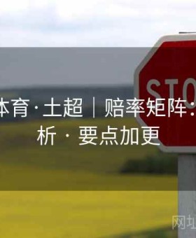 爱游戏体育·土超｜赔率矩阵：权威解析 · 要点加更