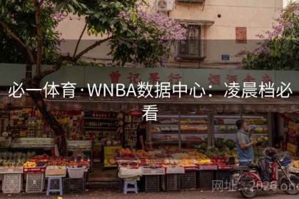 必一体育·WNBA数据中心：凌晨档必看