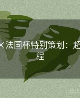 j9娱乐×法国杯特别策划：超详细教程