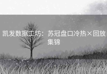 凯发数据工坊：苏冠盘口冷热×回放集锦